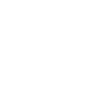 1V1 Exclusive Service